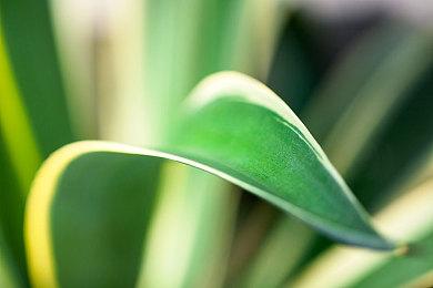 《大金刚国度归来HD》成唯一一款进NPD月榜的NS游戏